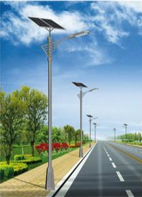 1742827545426759.jpg 皮山太阳能路灯.jpg